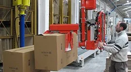 Dalmec manipulator with dual gripping tools handling cardboard boxes on a packaging line as a worker operates the controls.