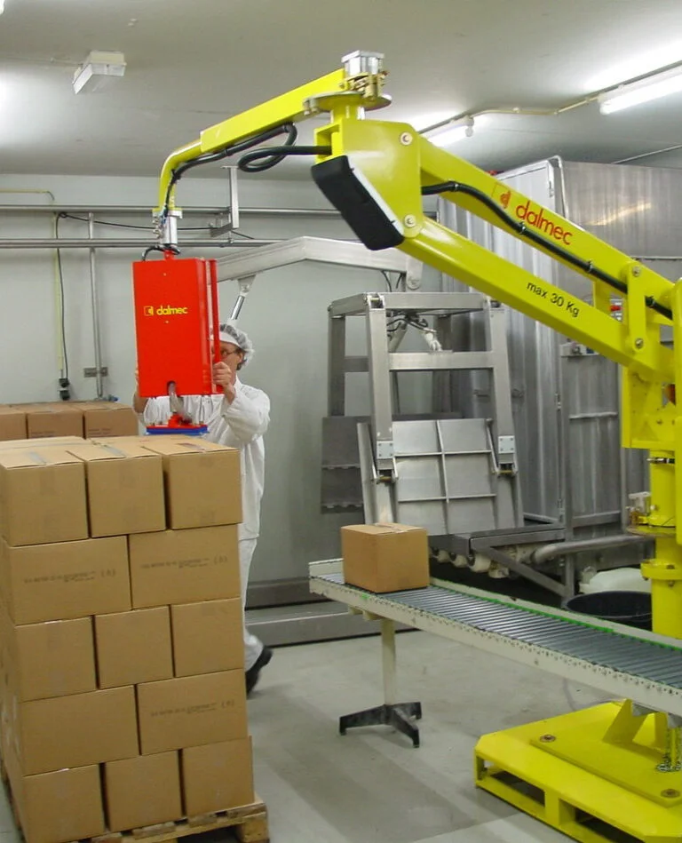 Dalmec manipulator, rated to 30 kg, lifting a cardboard box from a conveyor onto a pallet stack as a food-industry worker in hygiene PPE assists.