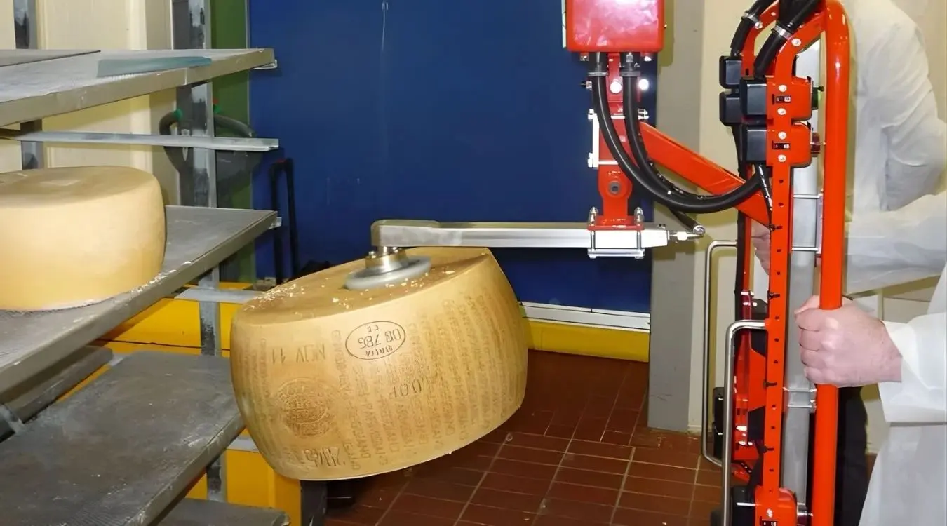 Dalmec pneumatic industrial manipulator with custom gripping tooling lifting a large wheel of parmesan cheese in a food processing facility, operated by a single worker