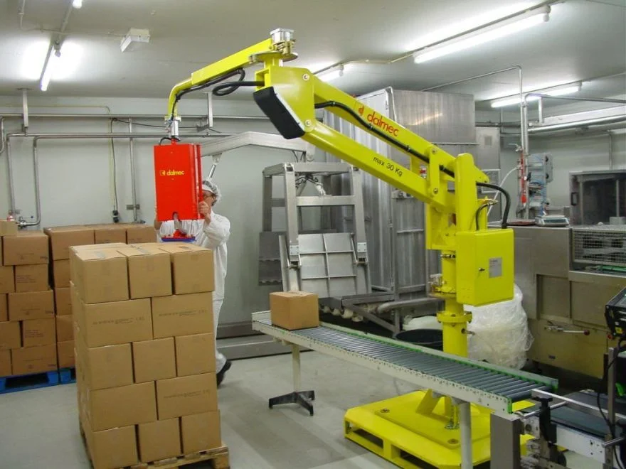 Dalmec 30kg manipulator with vacuum gripping tool transferring carton boxes from a conveyor to a pallet in a food production facility