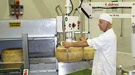 Dalmec manipulator with custom gripping tool handling a large Parmesan cheese wheel in a food production and aging facility, operated by a worker in full PPE