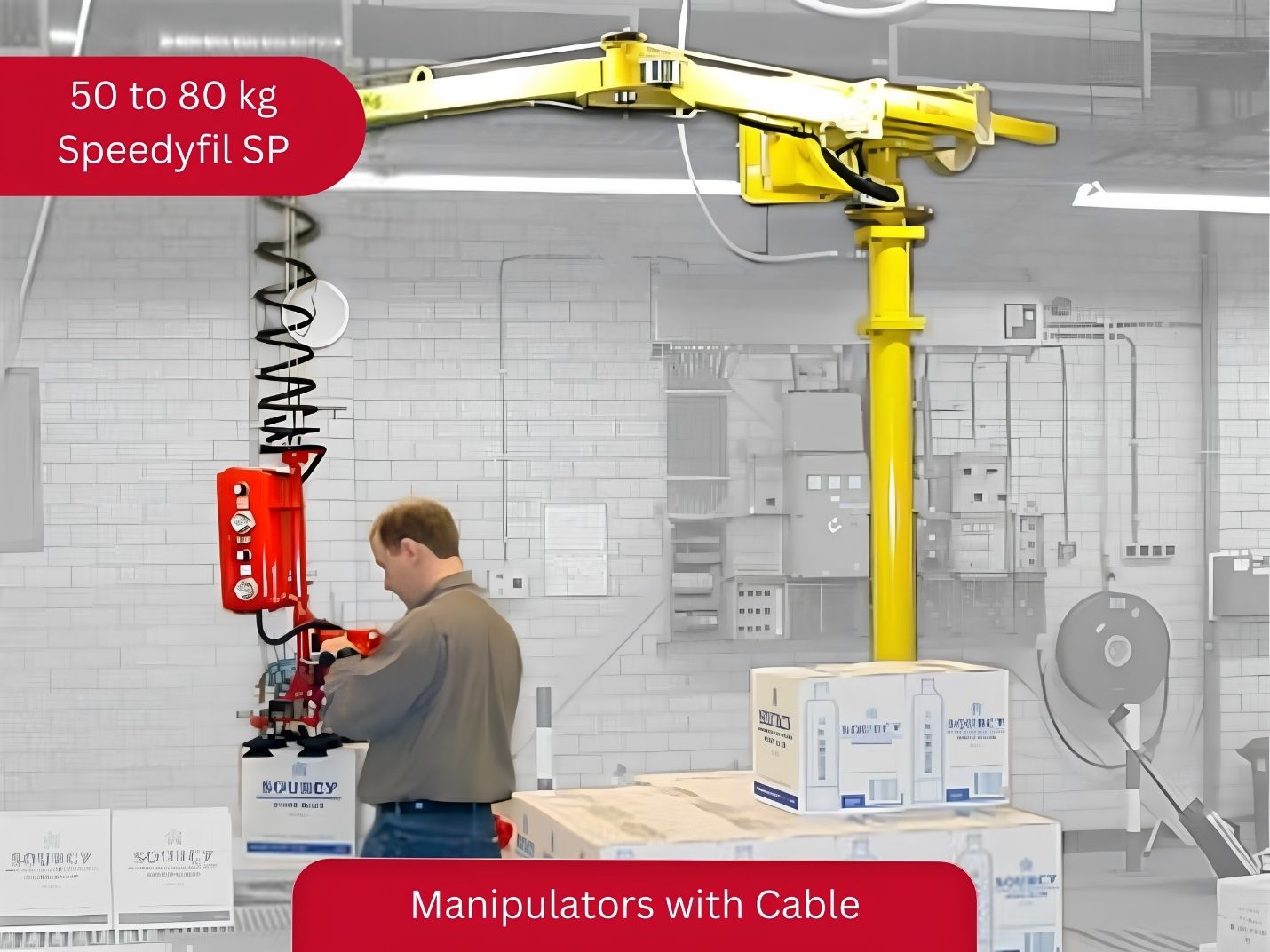 Dalmec Speedyfil SP 50–80kg pneumatic cable manipulator with vacuum gripping tool handling carton boxes in a food and beverage facility